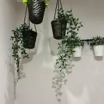 Giuseppe & Greta Bed & Breakfast 3*